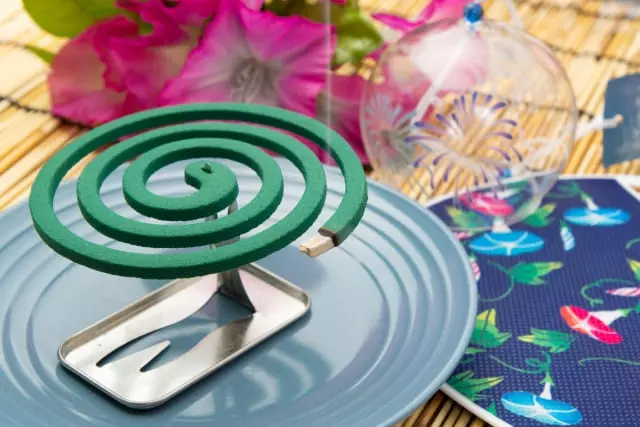 夏の庭に潜む虫たちと、その対策