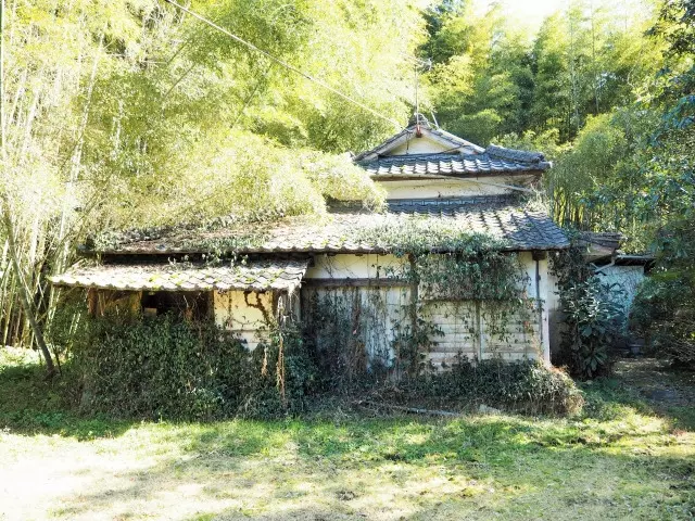 空き家・空き地の庭管理