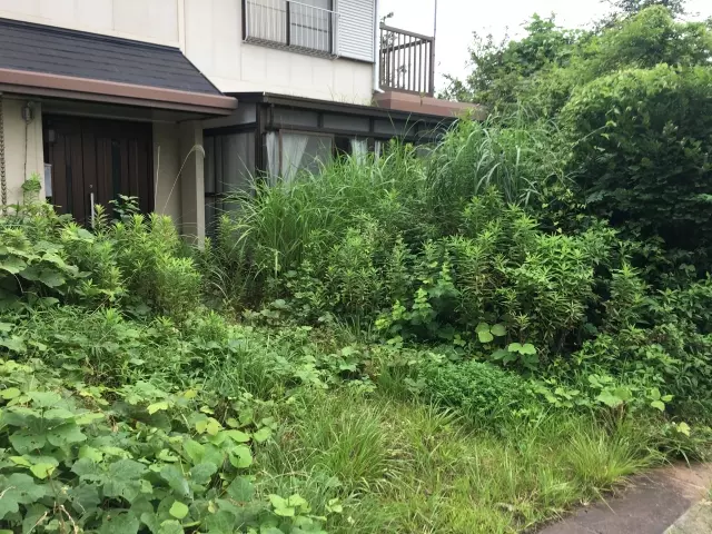 空き家の庭は、適切に管理しないと雑草の繁茂や樹木の伸びすぎが発生し、景観の悪化や害虫の発生、近隣トラブルの原因となる可能性があります。また、枝が隣家へ越境したり、落ち葉が道路をふさいだりすることで、思わぬトラブルにつながることもあります。弊社の空き家管理サービスでは、定期的な庭の管理を行い、安全で清潔な状態を維持します。