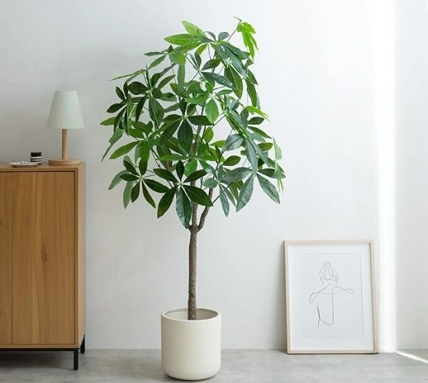 人工観葉植物 パキラ 150cm