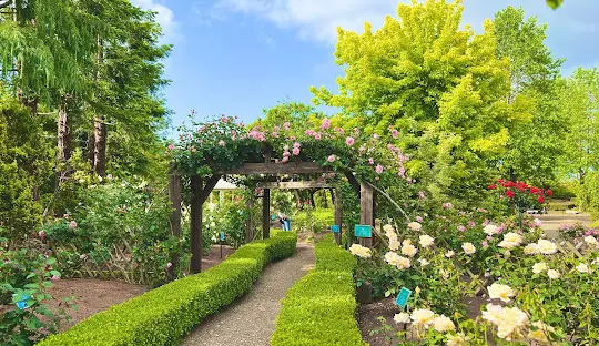 エレガガーデン