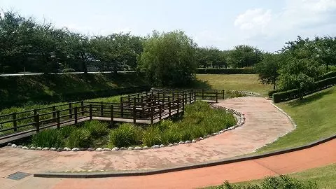 京坪川河川公園（オレンジ・パーク舟橋）