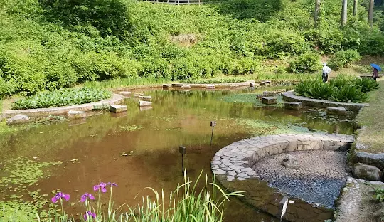 頼成の森 水生植物園